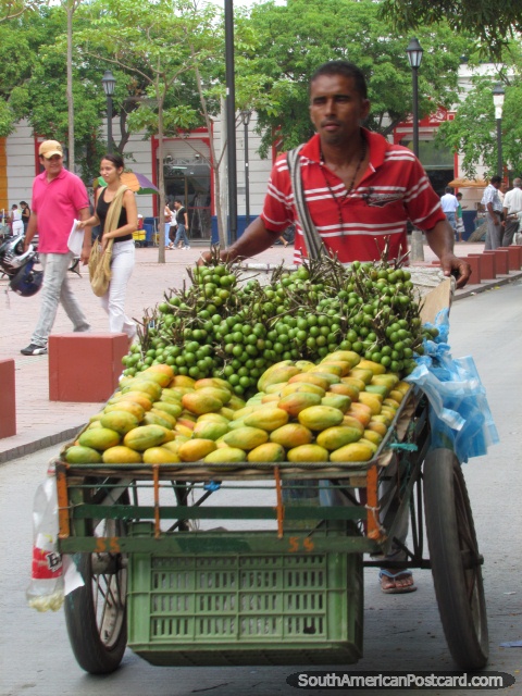 Um homem com uma carreta de mangos e mamons em Santa Marta. (480x640px). Colmbia, Amrica do Sul.