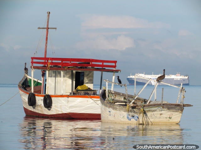 2 barcas y aves marinas, barco enorme en la distancia, Taganga. (640x480px). Colombia, Sudamerica.