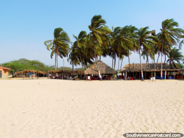 Restaurantes abaixo de palmeiras junto da praia arenosa branca em Camarones. (640x480px). Colômbia, América do Sul.