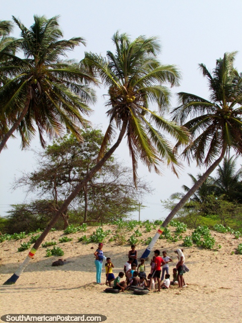 Crianças abaixo das palmeiras na praia em Camarones. (480x640px). Colômbia, América do Sul.