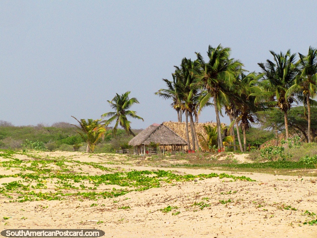 Palmas nebulosas e cabanas cobertas com palha atrás da praia em Camarones. (640x480px). Colômbia, América do Sul.