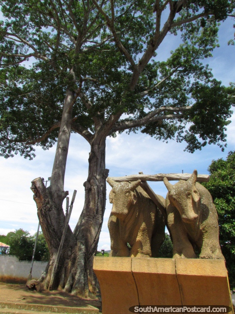 Monumento de bueyes llamados Yunta de Bueyes en Barichara, un tributo a estos animales trabajadores difciles. (480x640px). Colombia, Sudamerica.