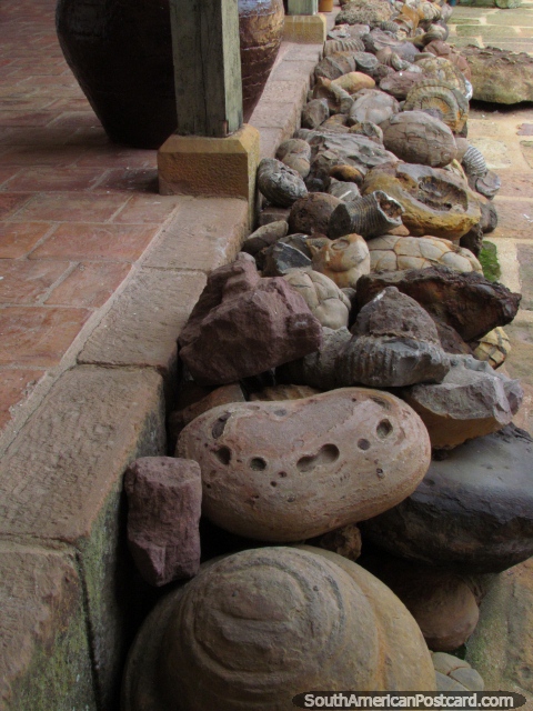 Rochas e fósseis no museu em Barichara. (480x640px). Colômbia, América do Sul.