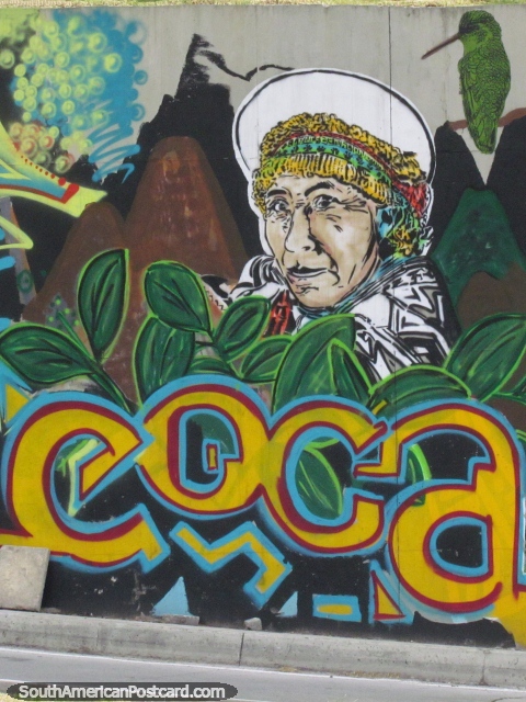 A arte de grafite ïndia de coca em Bogotá. (480x640px). Colômbia, América do Sul.