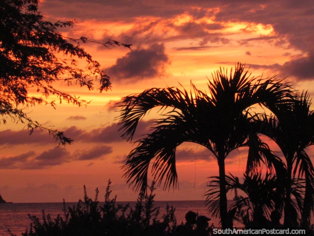Puesta del sol del fuego y silueta de la palma en Taganga. (640x480px). Colombia, Sudamerica.