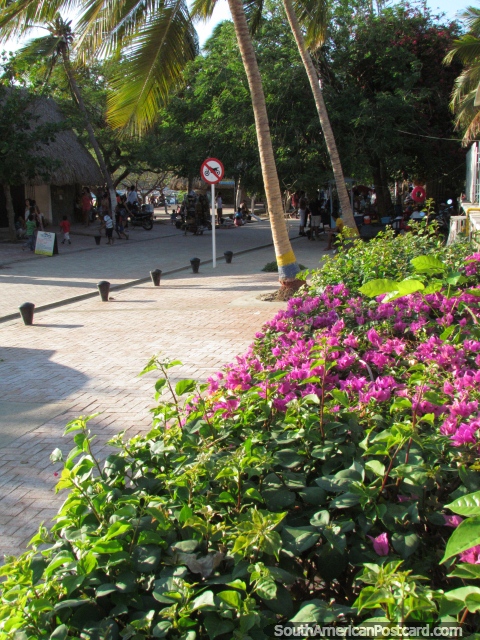 O fim ocidental da rua principal em Taganga junto da praia. (480x640px). Colmbia, Amrica do Sul.