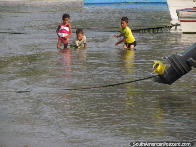 3 children try to catch little fish in the shallow waters of Taganga. (640x480px). Colombia, South America.