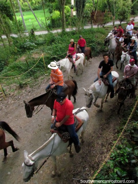 A group of people enjoying riding horses at the Coffee Park in Armenia. (480x640px). Colombia, South America.