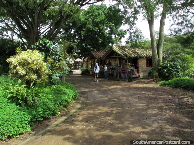 Tree-lined walking path at Panaca animal farm in Armenia. (640x480px). Colombia, South America.