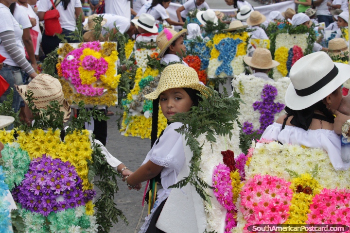 O Silleteritos de Gaira segue flores seu costas, uma tradição, Festival do Mar, Santa Marta. (720x480px). Colômbia, América do Sul.