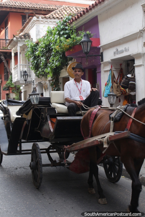 O homem vestido de modo ardente toma um cavalo e carreta de um passeio em Cartagena. (480x720px). Colômbia, América do Sul.