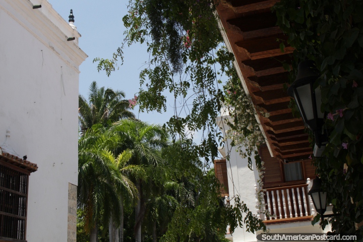 As palmeiras e as fachadas de madeira e os balcões misturam-se agradavelmente em conjunto em Cartagena. (720x480px). Colômbia, América do Sul.
