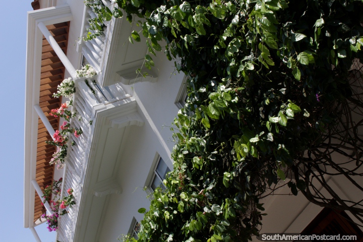 Beautiful balcony with flowers, typical sight in Cartagena old city. (720x480px). Colombia, South America.