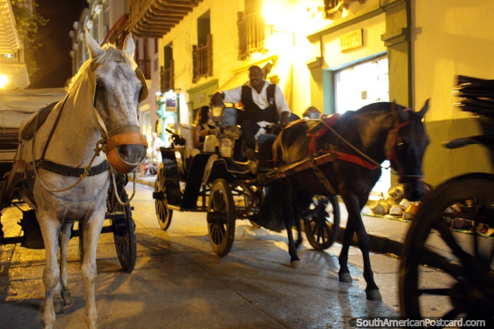 Caballos y carros en las calles de Cartagena con toda su fuerza, recorrido por la ciudad es el nombre del juego. (720x480px). Colombia, Sudamerica.