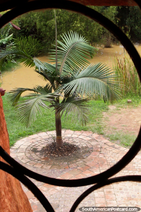 Palmera y estanque, vista a travs de una ventana en la Casa Terracota en Villa de Leyva. (480x720px). Colombia, Sudamerica.