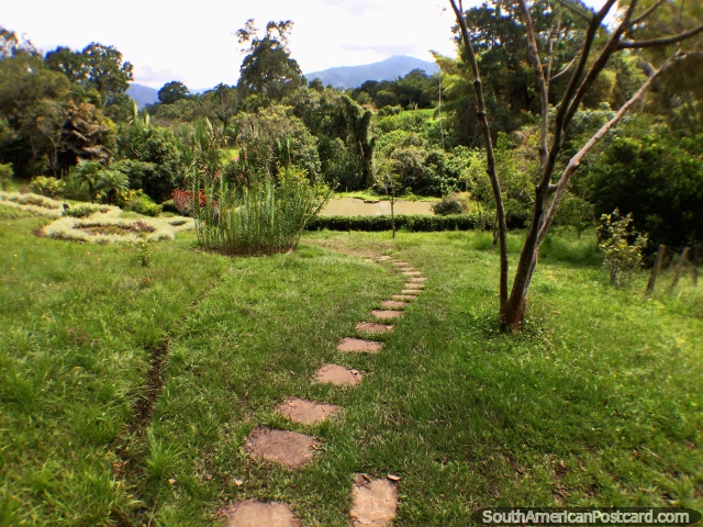 O caminho na grama abaixo a lagoa onde as tartarugas martimas vivem, Jardins botnicos de San Jorge, Ibague. (640x480px). Colmbia, Amrica do Sul.