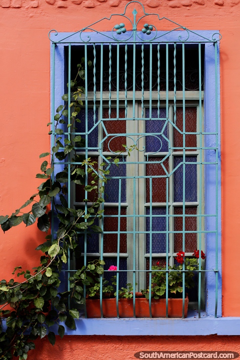 Colored window and frame with plants and flowers in the San Antonio Neighborhood in Cali. (480x720px). Colombia, South America.