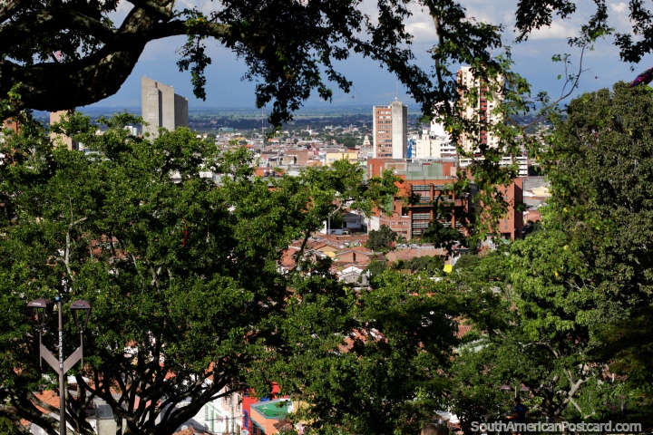 View of Cali through the trees at the top of San Antonio Hill. (720x480px). Colombia, South America.