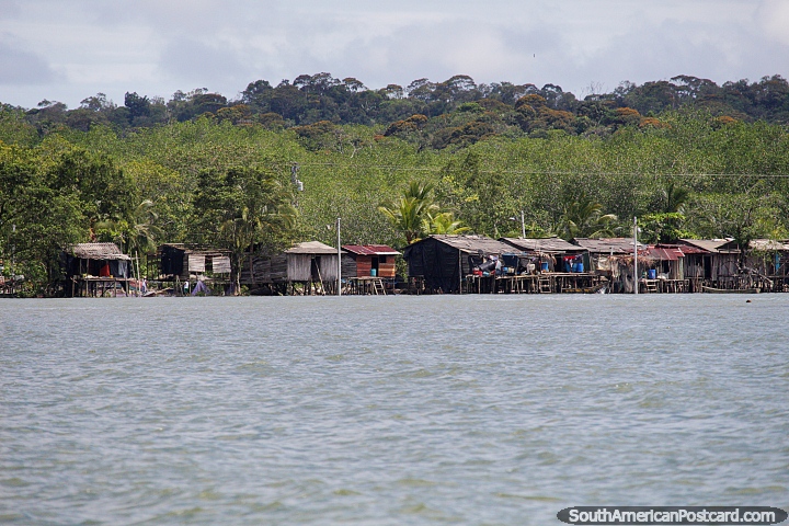 Cabanas de barraco apoiadas por mato grosso em direção ao norte da costa de Buenaventura. (720x480px). Colômbia, América do Sul.