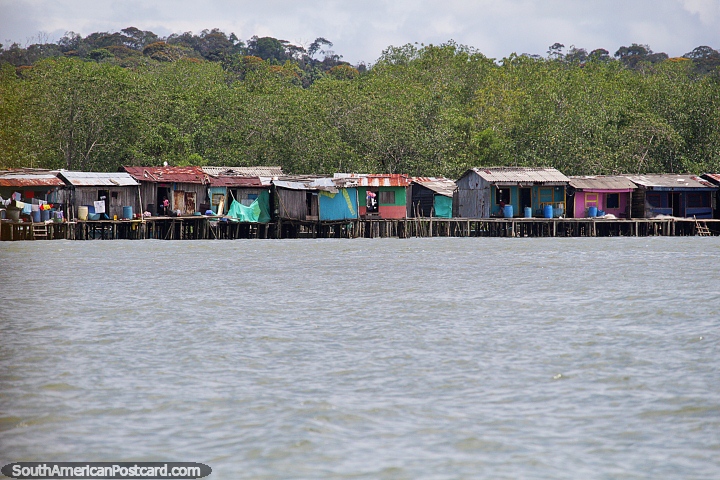 As casas de cabana em pernas de pau fazem-se da madeira com telhados de ferro ondulados ao longo da costa de Buenaventura. (720x480px). Colômbia, América do Sul.
