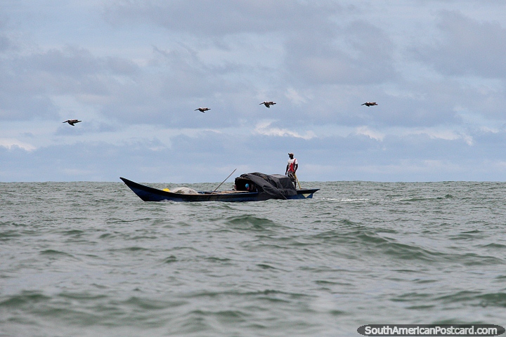 4 pelicanos voam acima de um pescador solitário da costa de Buenaventura. (720x480px). Colômbia, América do Sul.