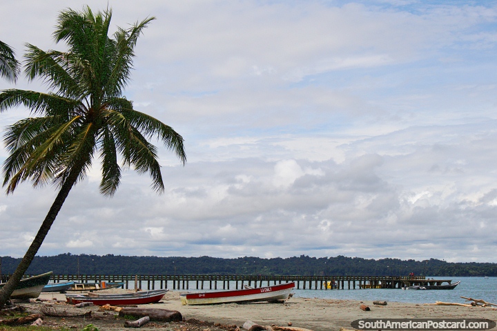 Palmeira, barcos e o cais na distância em praia de Juanchaco, Buenaventura. (720x480px). Colômbia, América do Sul.