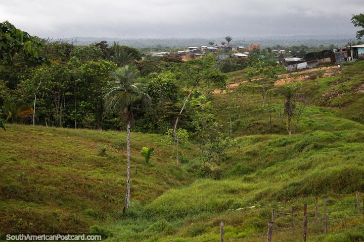 Selva espesa y viviendas dispersas a lo largo de la Ruta 40 entre Buenaventura y Buga. (720x480px). Colombia, Sudamerica.
