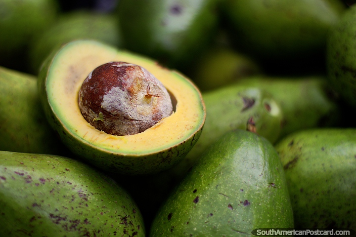 Avocado, nothing more, nothing less, but it is from Manizales! (720x480px). Colombia, South America.