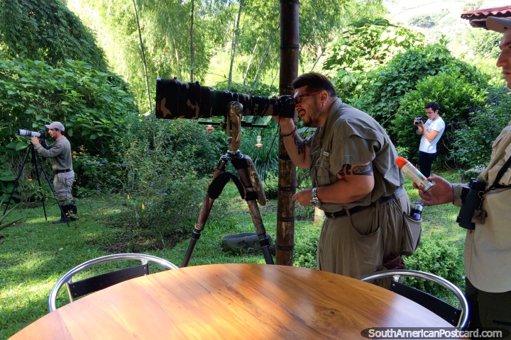 Fotógrafos serios de observación de aves de Costa Rica en la Reserva Natural de Observación de Aves Tinamu en Manizales. (720x480px). Colombia, Sudamerica.