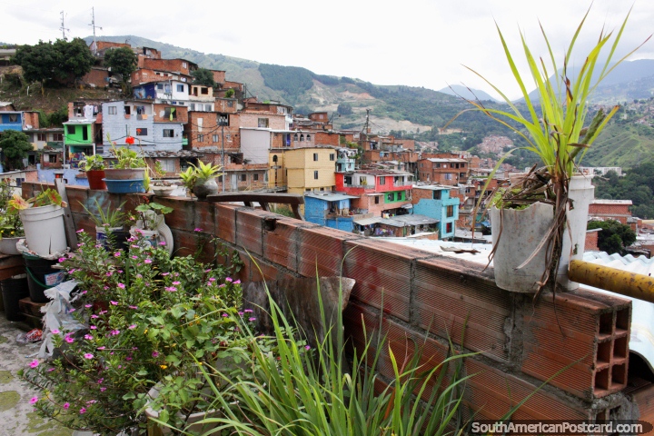 Comuna 13, un barrio antiguamente administrado por narcotraficantes en Medelln. (720x480px). Colombia, Sudamerica.