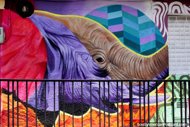 Elefante em cores, Comuna 13 é uma terra maravilhosa da arte de rua em Medellïn. (720x480px). Colômbia, América do Sul.
