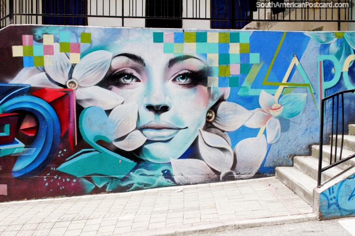 Beautiful face shines out from flowers, street art, Comuna 13, Medellin. (720x480px). Colombia, South America.