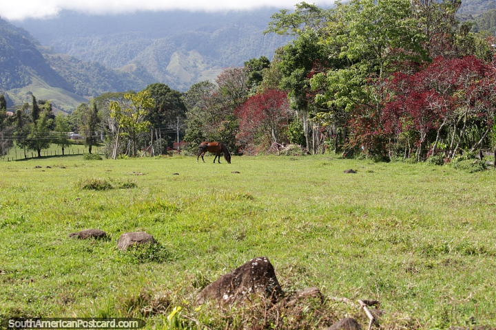 Hermosos paisajes y colinas rodean a Jardin, un lugar para explorar la naturaleza. (720x480px). Colombia, Sudamerica.