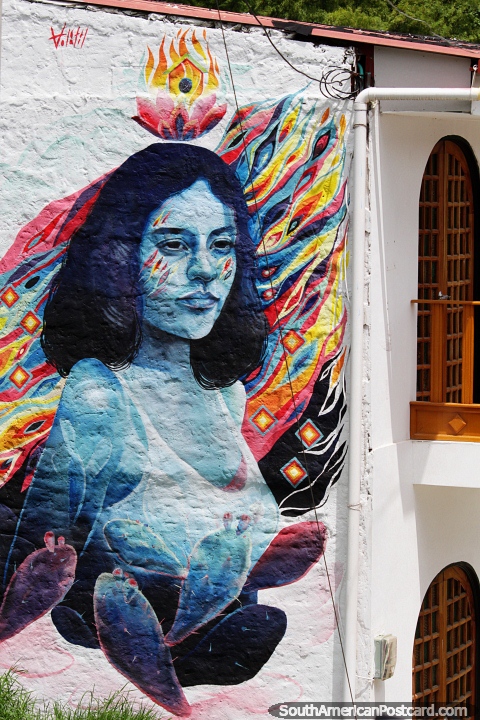 Menina cercada por cactos, incrível enorme mural colorido em uma casa em Salento. (480x720px). Colômbia, América do Sul.