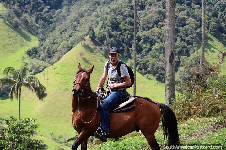 Tome un paseo a caballo en el valle de Cocora para disfrutar de excelentes vistas y lugares de interés en Salento. (720x480px). Colombia, Sudamerica.