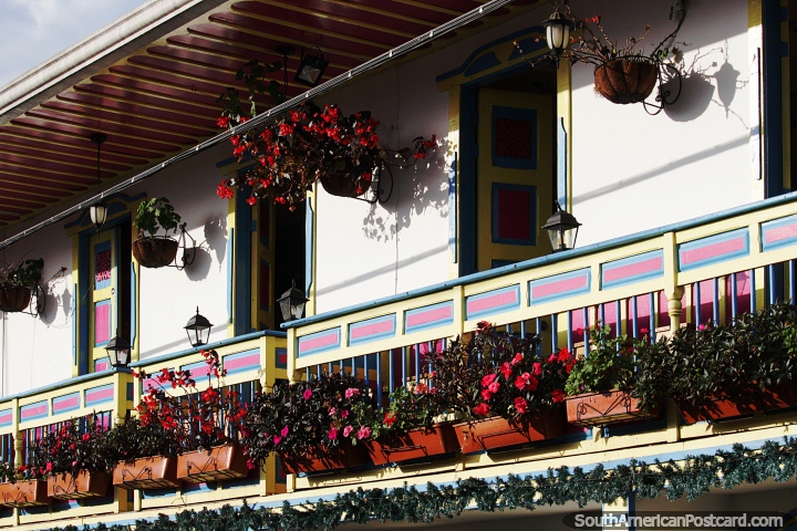 Las flores irradian a la luz del sol a lo largo de un balcón en Salento. (720x480px). Colombia, Sudamerica.