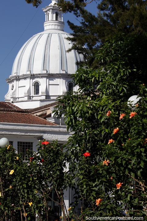 Dome of the cathedral with flowers seen from Caldas Park in Popayan. (480x720px). Colombia, South America.