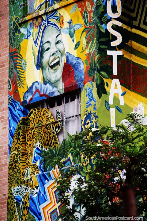 Spectacular mural of a smiling woman and a tiger on the side of a hostel in Bogota. (480x720px). Colombia, South America.
