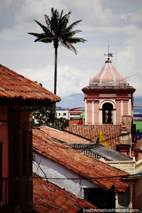 Una palmera solitaria crece junto a la torre del Colegio Bartolom de Bogot. (480x720px). Colombia, Sudamerica.