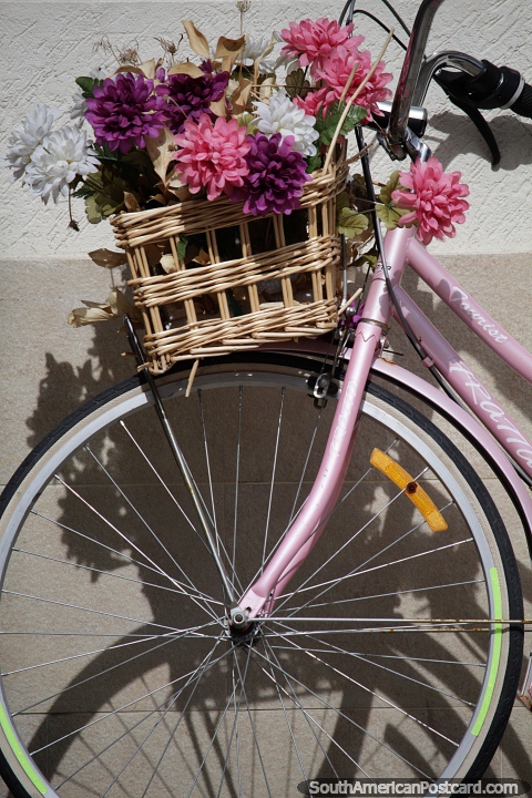 Bicycle with a basket of flowers stands outside a shop in Paipa, part of the decor. (480x720px). Colombia, South America.