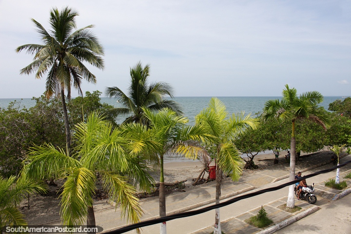 Tolu, on the northern coast near Monteria, beach town with palm trees. (720x480px). Colombia, South America.