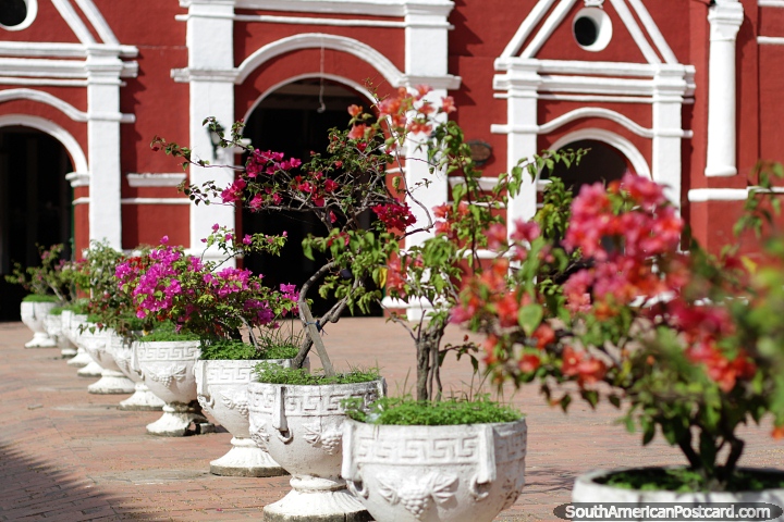Incrível variedade de cores de flores em uma fileira de vasos do lado de fora de uma igreja em Mompos. (720x480px). Colômbia, América do Sul.