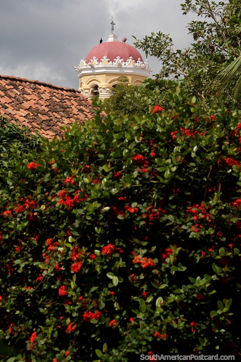 Desde detrás de un arbusto de flores rojas se puede ver la torre de la iglesia de Santa Bárbara en Mompos. (480x720px). Colombia, Sudamerica.