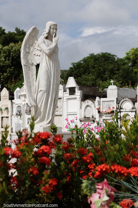 White angel stands above red flowers at the Mompos cemetery. (480x720px). Colombia, South America.