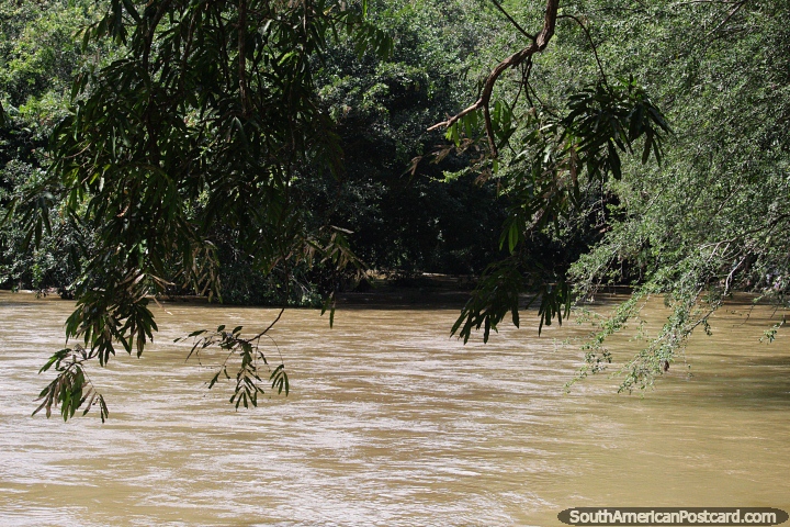 El río Magdalena en Neiva, un lugar para disfrutar de la naturaleza y la vida silvestre. (720x480px). Colombia, Sudamerica.