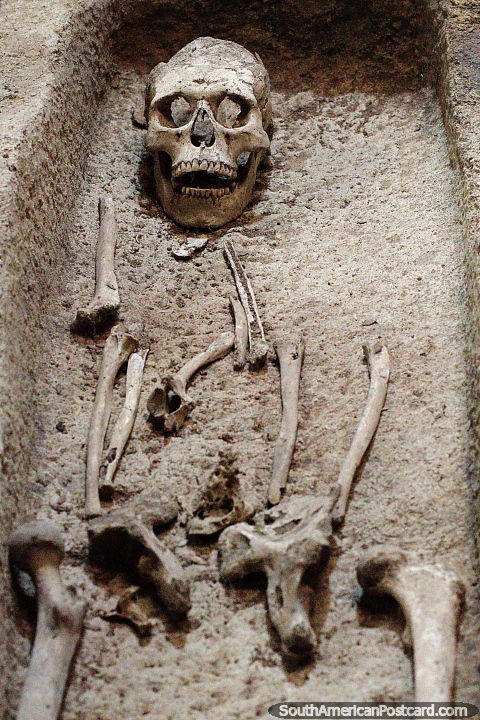Esqueleto deitado acima de um caixão feito de pedra vulcânica no Museu Arqueológico Villa Real em San Agustín. (480x720px). Colômbia, América do Sul.