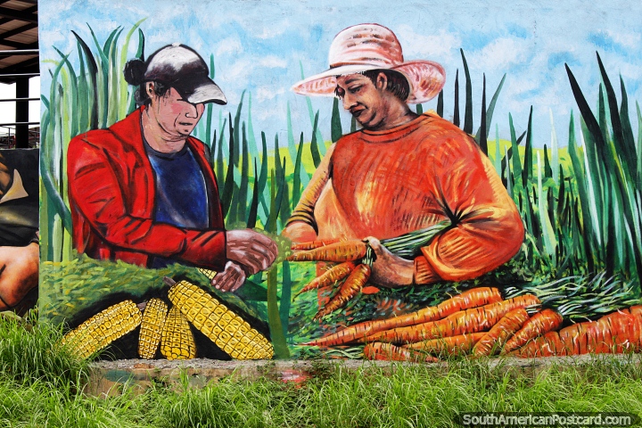 Carrots and corn are abundant in the fields, women pick the produce, mural in Cucuta. (720x480px). Colombia, South America.