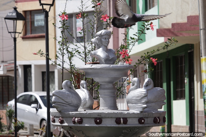 Silver fountain and pink flowers, a pigeon flies over, neighborhood in Pamplona. (720x480px). Colombia, South America.