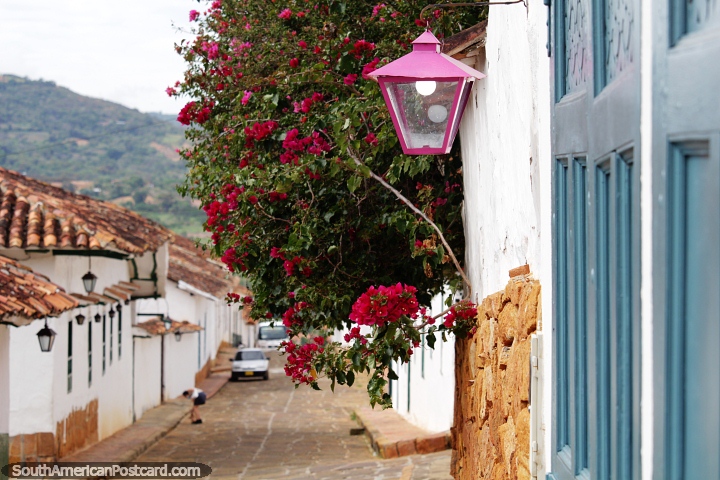 Rua de paralelepípedos em Barichara com lanterna rosa, flores rosa e porta azul. (720x480px). Colômbia, América do Sul.