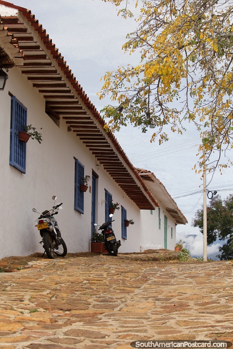 Rua de paralelepípedos com casas e uma árvore amarela pendurada em Barichara. (480x720px). Colômbia, América do Sul.
